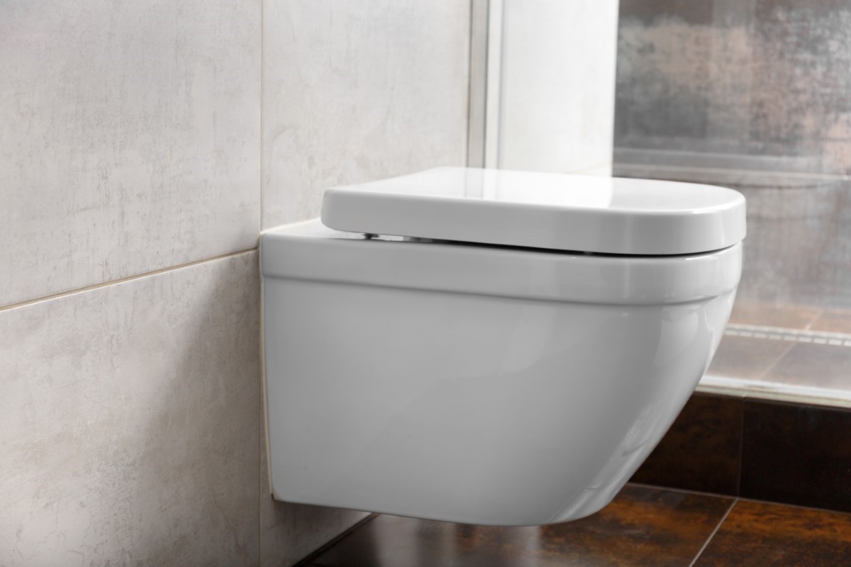 les toilettes suspendues
