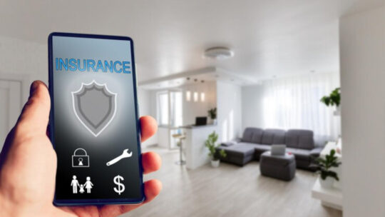 Protégez vos œuvres d’art et décorations avec une assurance habitation 