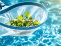 Guide d’achat : choisir le bon filet de piscine pour enlever les débris efficacement