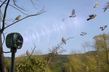 découvrez l'efficacité réelle des appareils à ultrasons pour oiseaux, leur portée et comment ils peuvent vous aider à éloigner ces animaux de manière naturelle et sans danger.